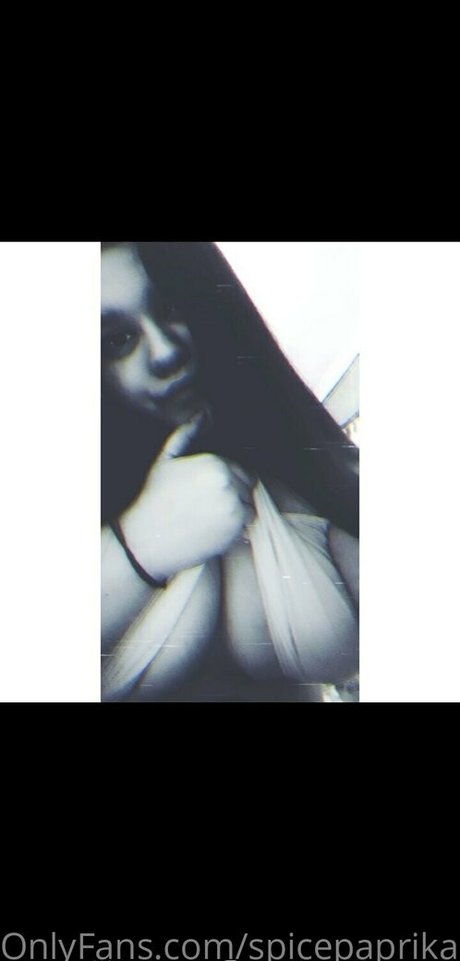 spicepaprika joli modèle galeries