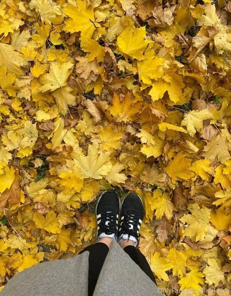 Lisa Joyce art star du porno galerie