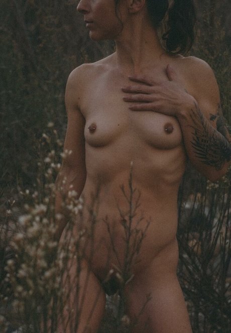 Ever Curious étoile image