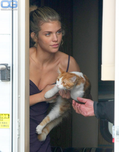 AnnaLynne McCord star du porno sympa image