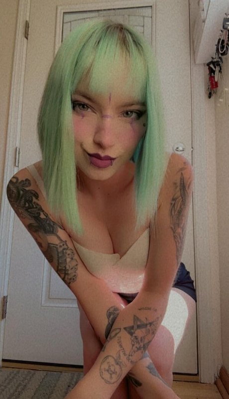 violets cabaret belle étoile image