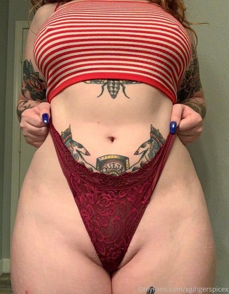 Xgingerspicex étoile de haute qualité des photos