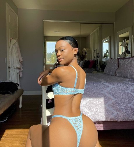 chaton potelé uniquementfans plutôt meilleur images