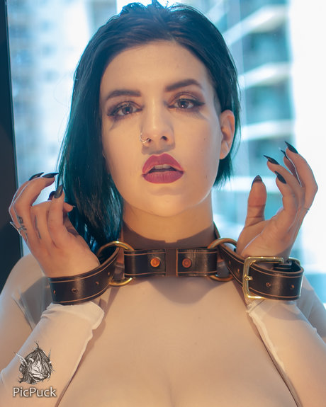 fans de basket-ball uniquement sympa parfait photos