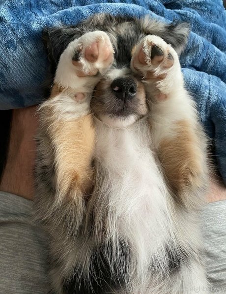 Kayleighbabyyy star du porno chaude img