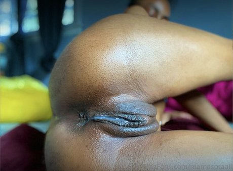 Maria S Moon étoile adulte collection