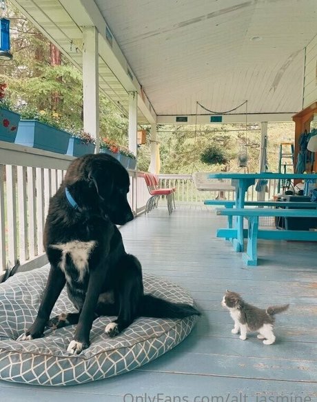 alt jasmine actrice de grande qualité img