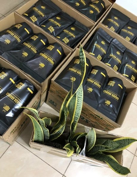 paoloamoresfree star du porno galeries