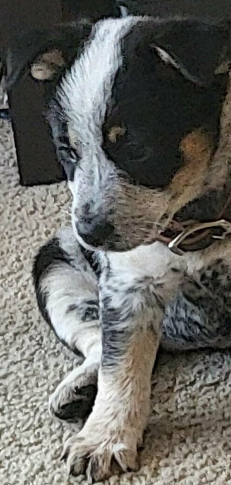 stellightbaby top star galeries