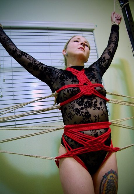 shibaritutorials étoile sympa galerie