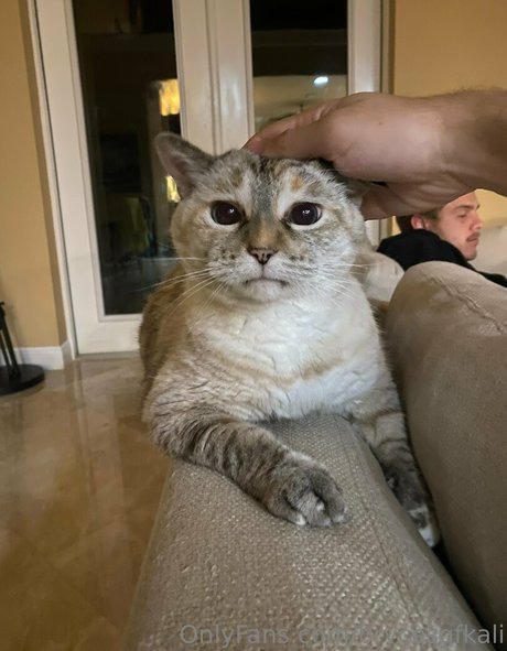 ppv uniquement pour les fans meilleur porno des photos