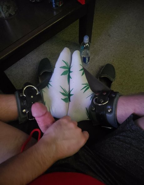 andymoto actrice hd image