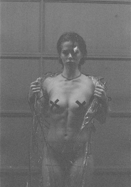 Marley Tipper étoile adulte galerie