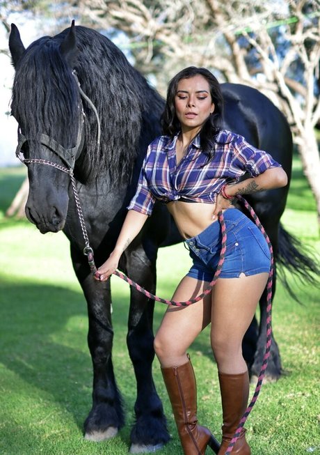 conversations cochonnes uniquement pour les fans exclusif parfait des photos