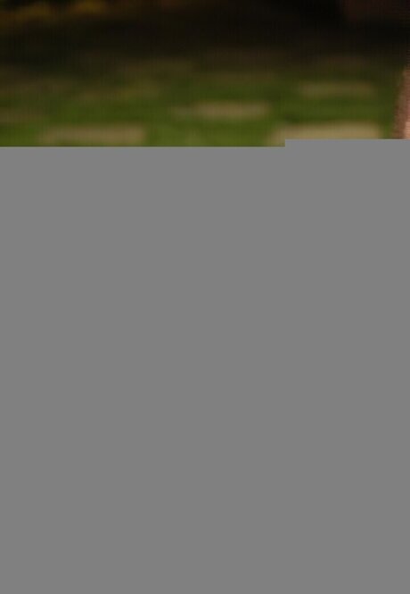 ébène sexy onlyfans chaud adulte galerie