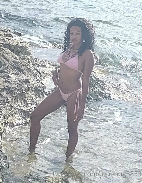 junebug3333 star érotique img