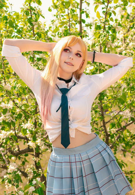 catzillachan modèle exclusif collection