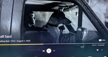 Natalie Minx star du porno en haute qualité photos