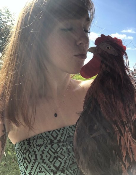 lilyevansfree jolie étoile galeries