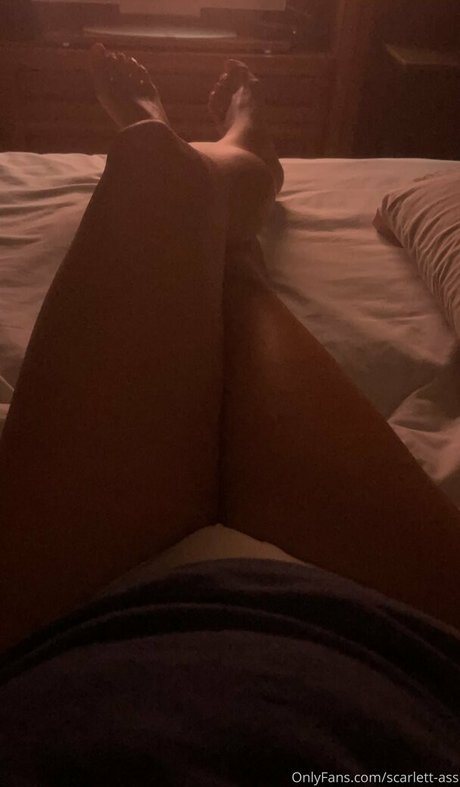 professeur gay onlyfans porno nu collection