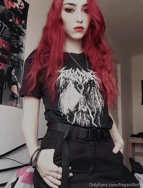 freyanillinht nus étoiles galeries