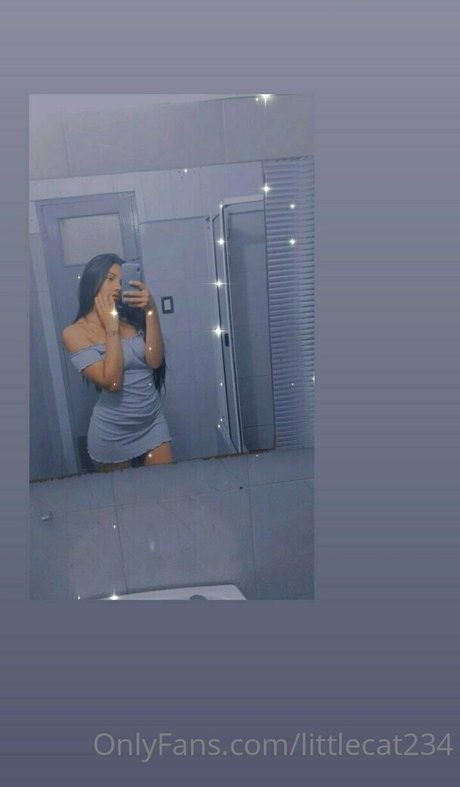 littlecat234 étoile gratuite photos