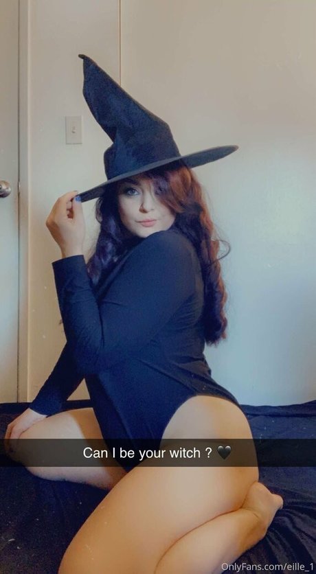 eille 1 modèle parfait img