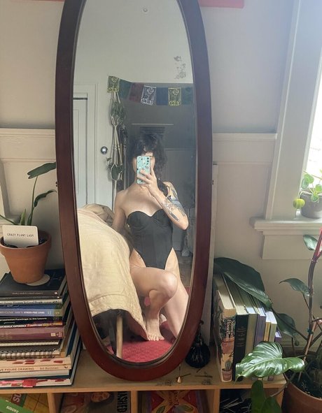 whoreticulture étoile parfaite des photos