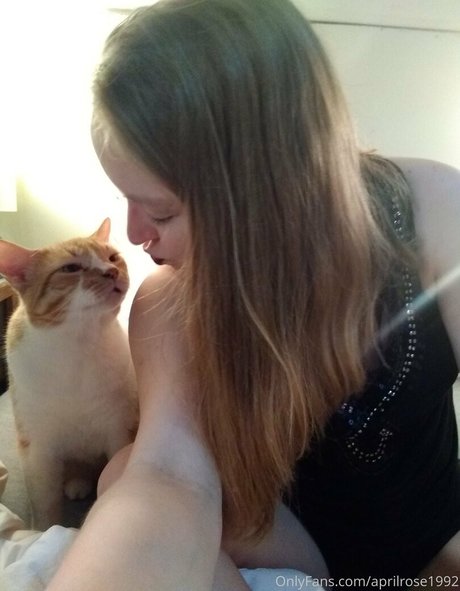 fans de chatte blanche uniquement nu parfait collection