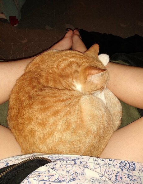 aprilrose1992 actrice porno collection