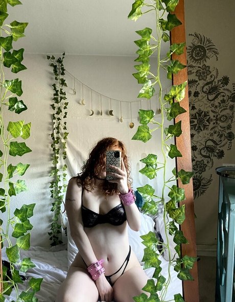 sushiafree star du porno gratuite image