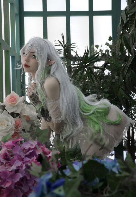 Flutterow étoile parfaite galerie