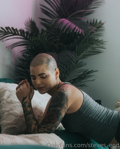 steves end étoile hd photos