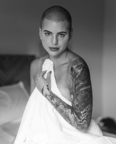 steves end étoile érotique img