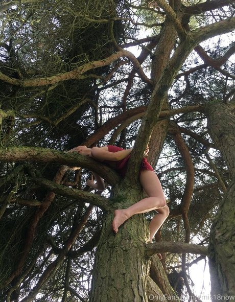 emis18now meilleure star du porno archive