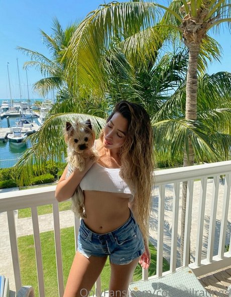 cocktailratings star exclusive archive