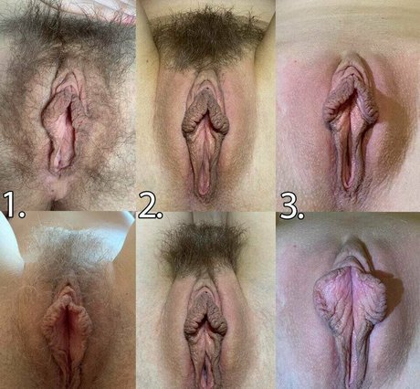 fans de monstres uniquement art meilleur photos