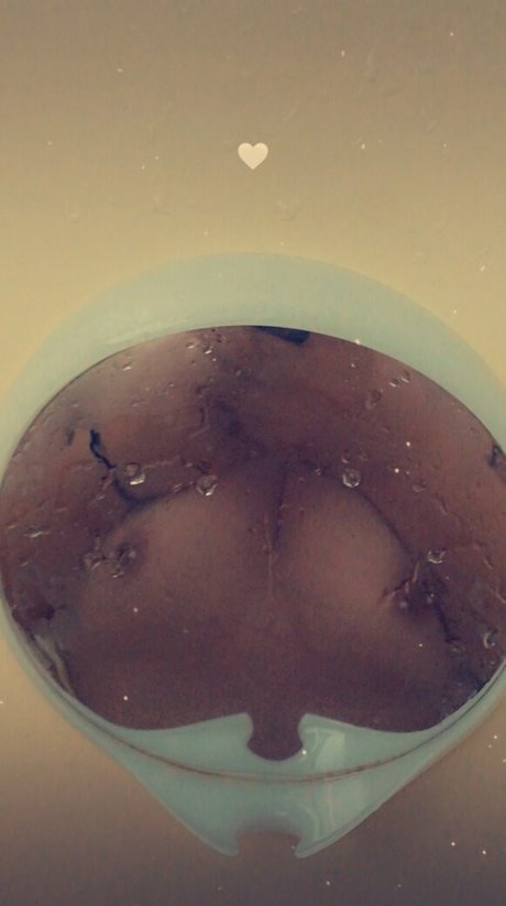 havenx17 modèle meilleur archive