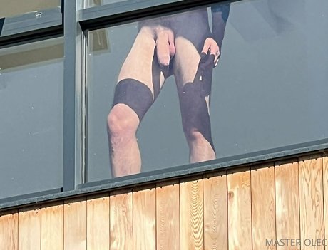 master olec modèle parfait archive