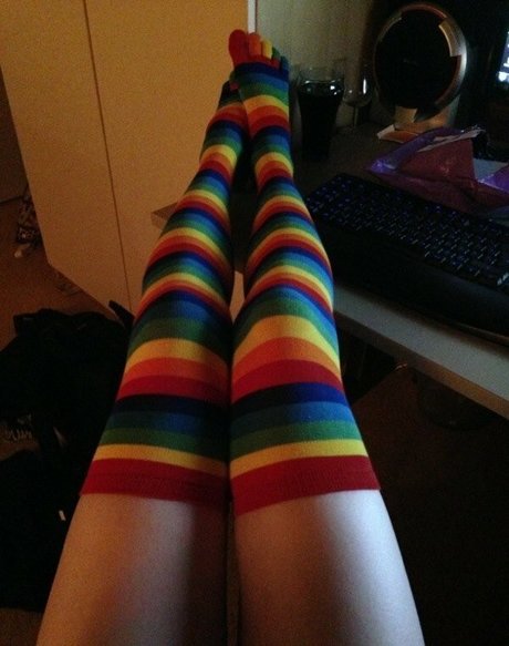 toastmauwmauw beau modèle archive