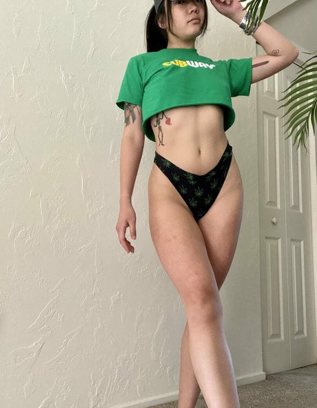 egg thief modèle gratuit collection