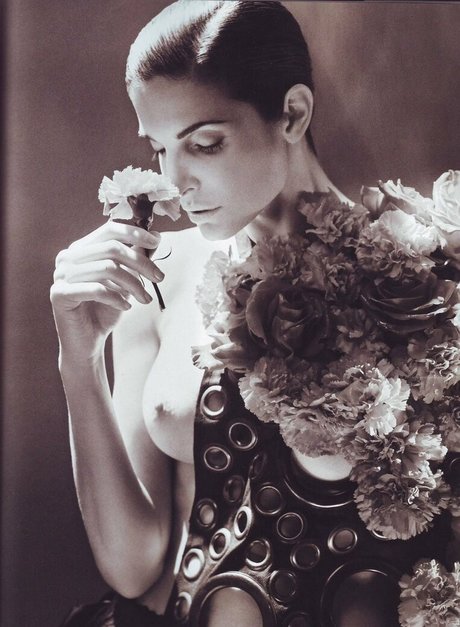 Stephanie Seymour actrice artistique img