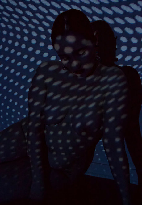 fans uniquement du dmv pornographique nu collection