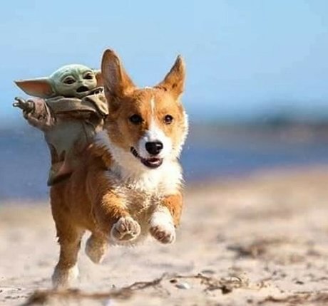 Chanelle Mauricette étoile exclusive img