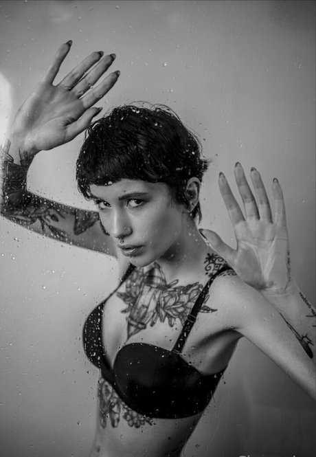 chantaise étoile nue galeries