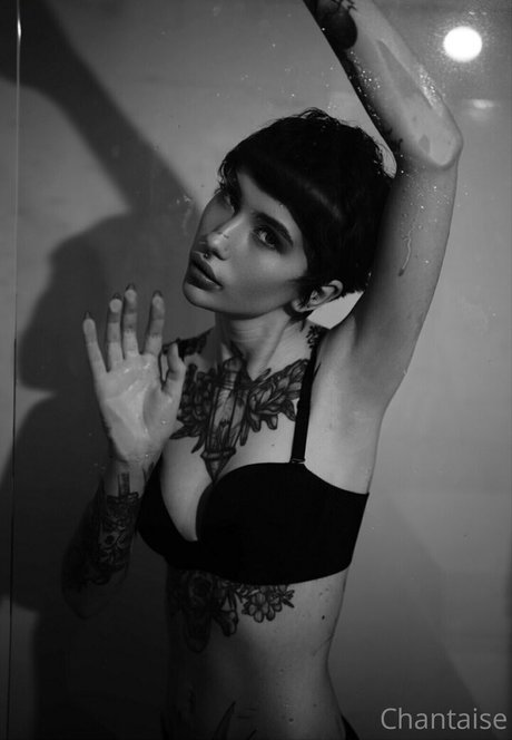 ventilateurs corporels uniquement haute qualité gratuit archive