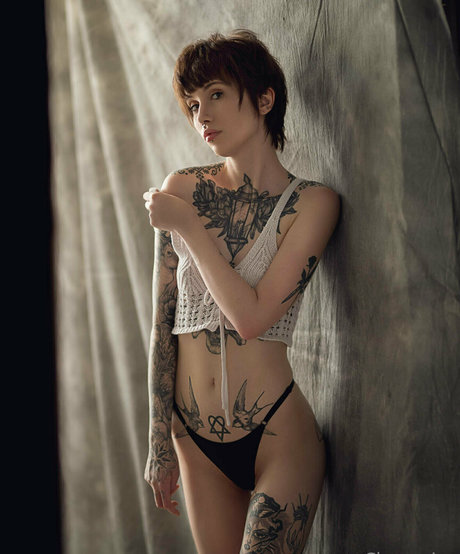 chantaise étoile xxx collection