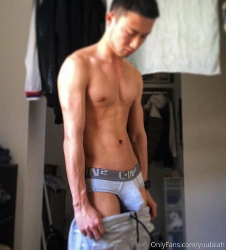 yuulalah étoile magnifique galerie