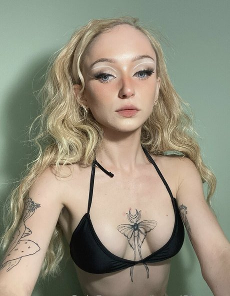 bunni3lossom étoile parfaite collection