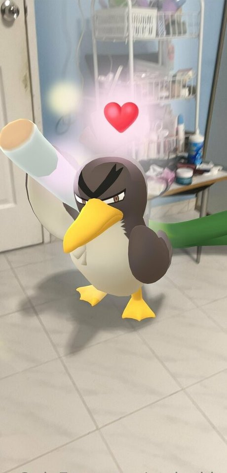 qt jackie star exclusive images